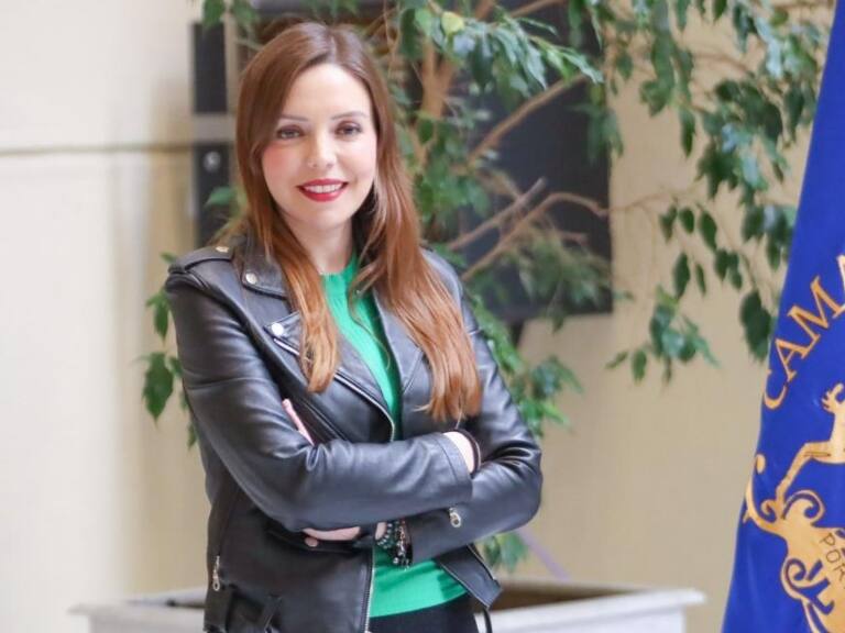 Camila Flores anuncia oficio por contrato de la ceremonia de los 50 años en La Moneda