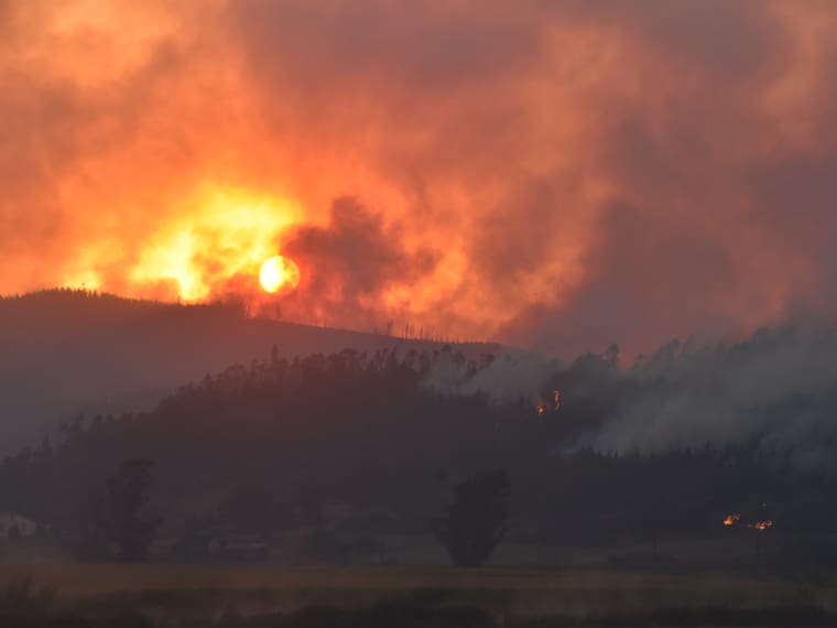 Declaran Alerta Roja en cinco comunas de la región de La Araucanía por incendios forestales