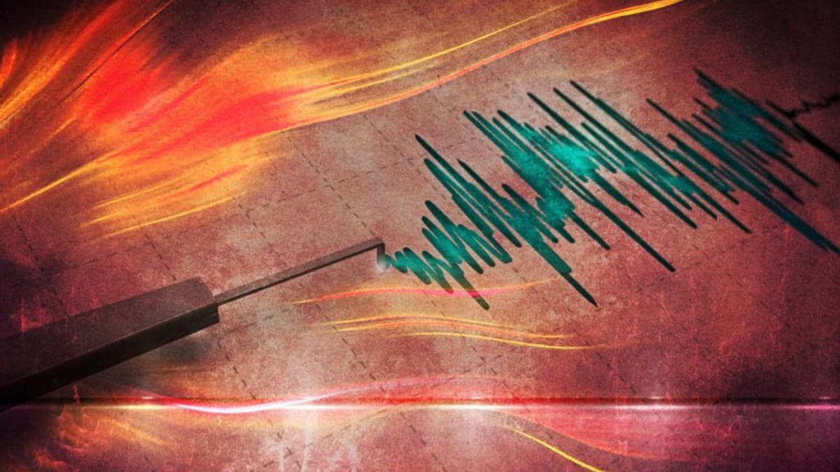 SHOA descarta riesgo de tsunami en las costas de Chile tras fuerte temblor percibido en Valdivia