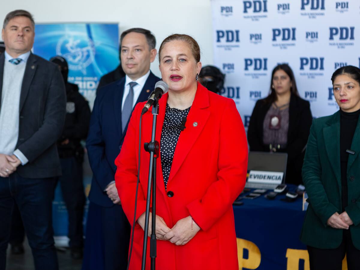 En calidad de imputada: designan a fiscal regional de Los Lagos para investigar a la ministra Ángela Vivanco