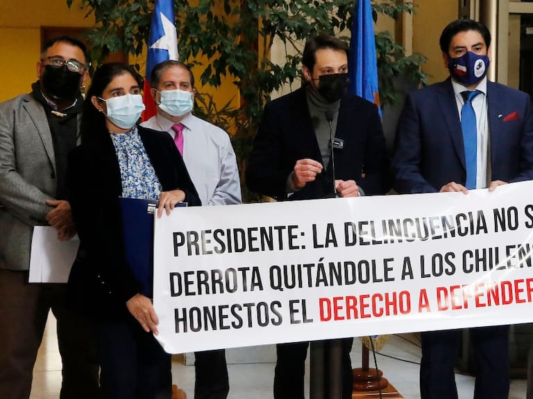 Partido de la Gente presenta proyecto para consagrar el «derecho legítimo a las armas» en la Constitución
