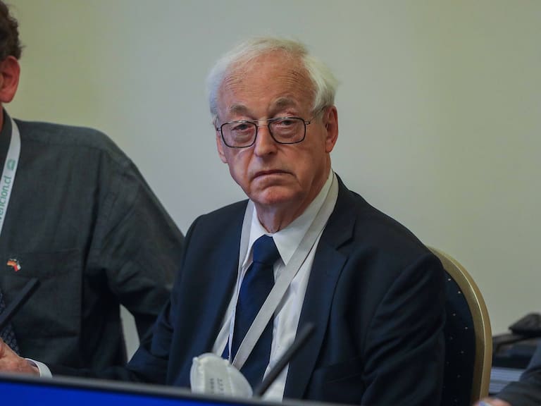 Rüdiger Wolfrum, experto en Derecho Comparado: «No es recomendable tener otra opción aparte del Apruebo o Rechazo»