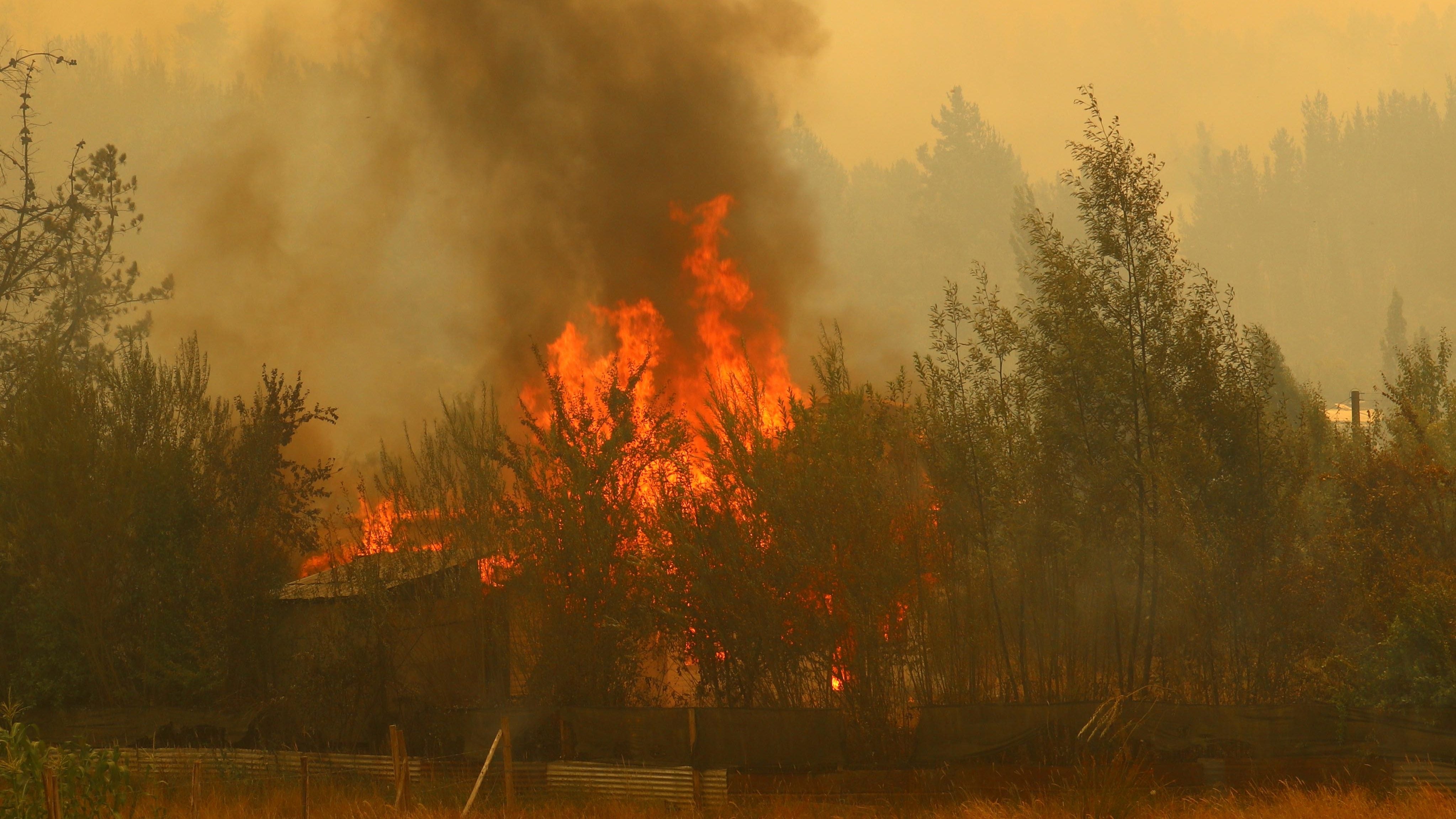 03 de Febrero de 2023/SANTA JUANACientos de personas han debido evacuar sus casas debido al incendio forestal que se encuentra descontrolado. La autoridad confirmó 4 fallecidos en la zona
FOTO;RODRIGO GARRIDO/AGENCIAUNO