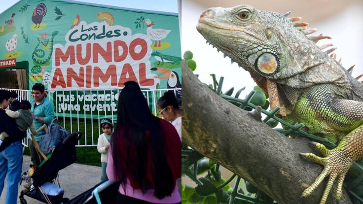 Granja Mundo Animal en Las Condes: horario, dirección, entradas y hasta cuándo dura el panorama para las vacaciones de invierno en Chile