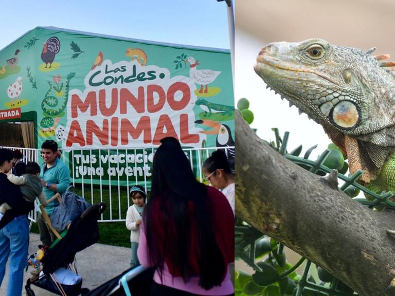 Granja Mundo Animal en Las Condes: horario, dirección, entradas y hasta cuándo dura el panorama para las vacaciones de invierno en Chile