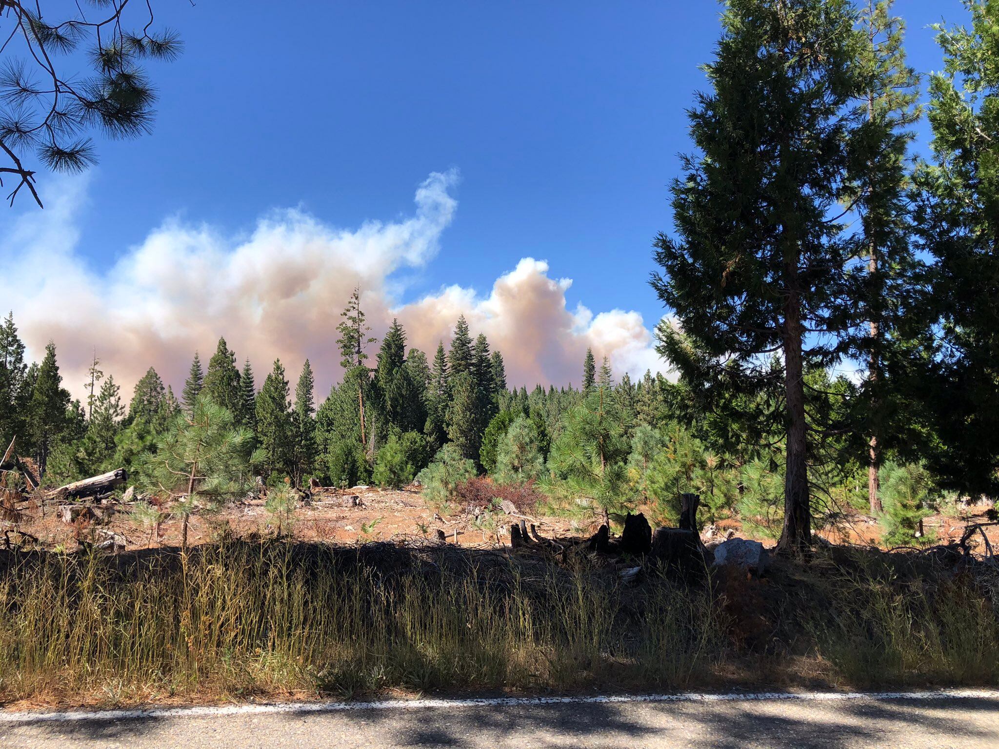 Graves incendios forestales en California