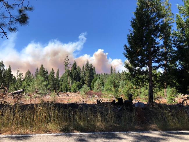 Graves incendios forestales en California