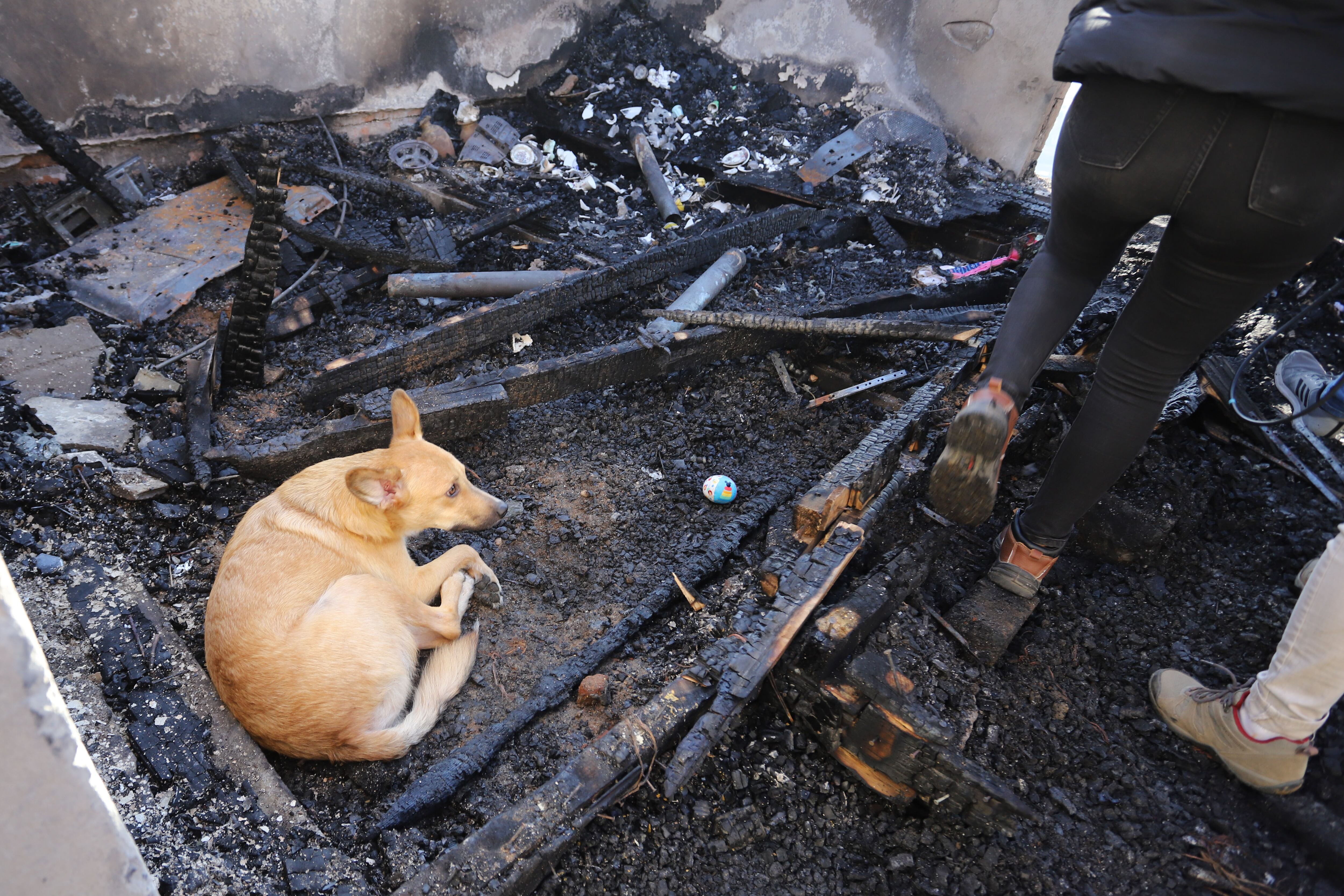 14 DE MARZO DE 2024/VALPARAISO
Personal de la Armada de Chile colabora en la remocin de escombros de los lugares afectados por el incendio que destruyo mas de 10 viviendas en el sector de calle Chaparro del Cerro Cordillera en la ciudad puerto.
FOTO: MANUEL LEMA OLGUIN/AGENCIAUNO