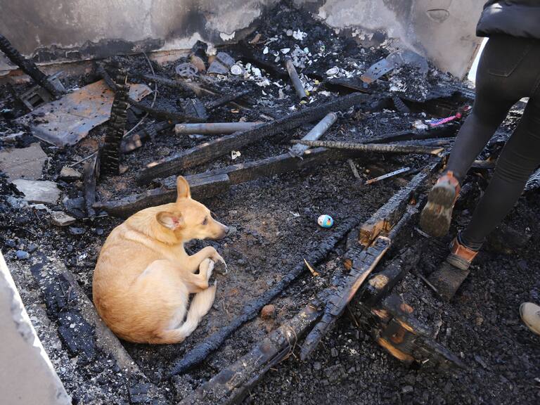 14 DE MARZO DE 2024/VALPARAISO
Personal de la Armada de Chile colabora en la remocin de escombros de los lugares afectados por el incendio que destruyo mas de 10 viviendas en el sector de calle Chaparro del Cerro Cordillera en la ciudad puerto.
FOTO: MANUEL LEMA OLGUIN/AGENCIAUNO