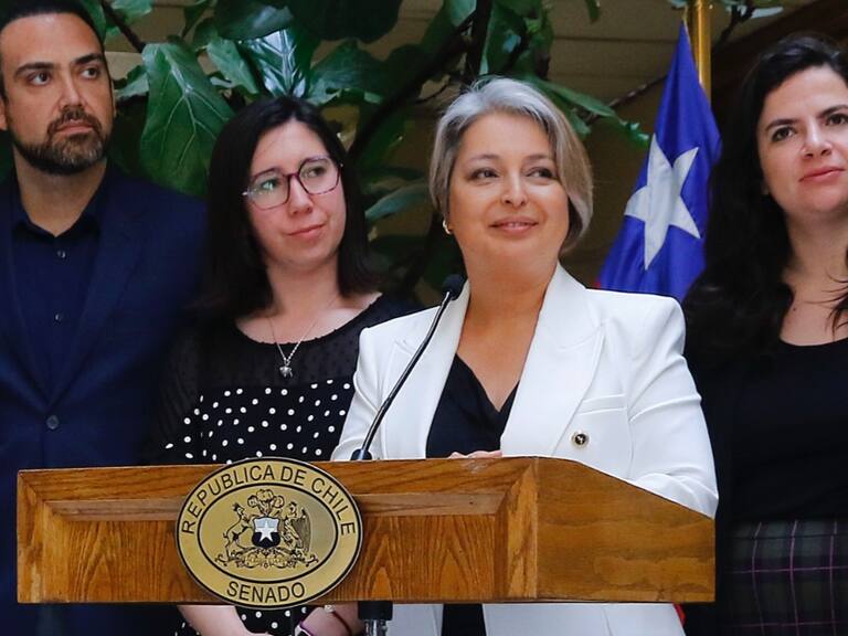 Gobierno anuncia extensión del postnatal de emergencia hasta noviembre