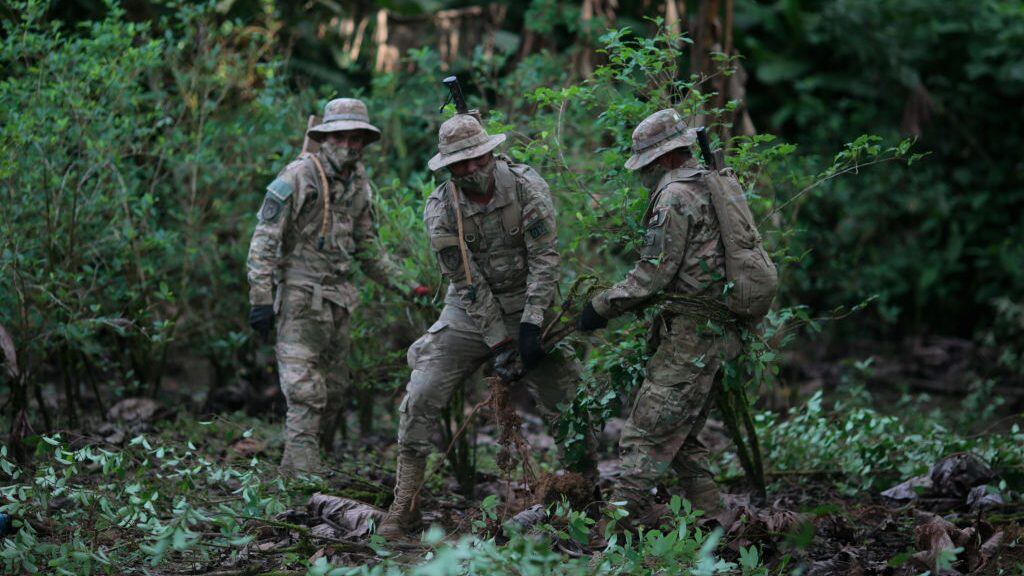 CHIMORE, BOLIVIA - APRIL 01: Military officers pull off coca plants before the inauguration of the second phase of surplus coca crops control on April 1, 2021 in Chimoré Bolivia. The government aims to eradicate 9,000 hectares of Coca crops. (Photo by Gaston Brito/Getty Images)
