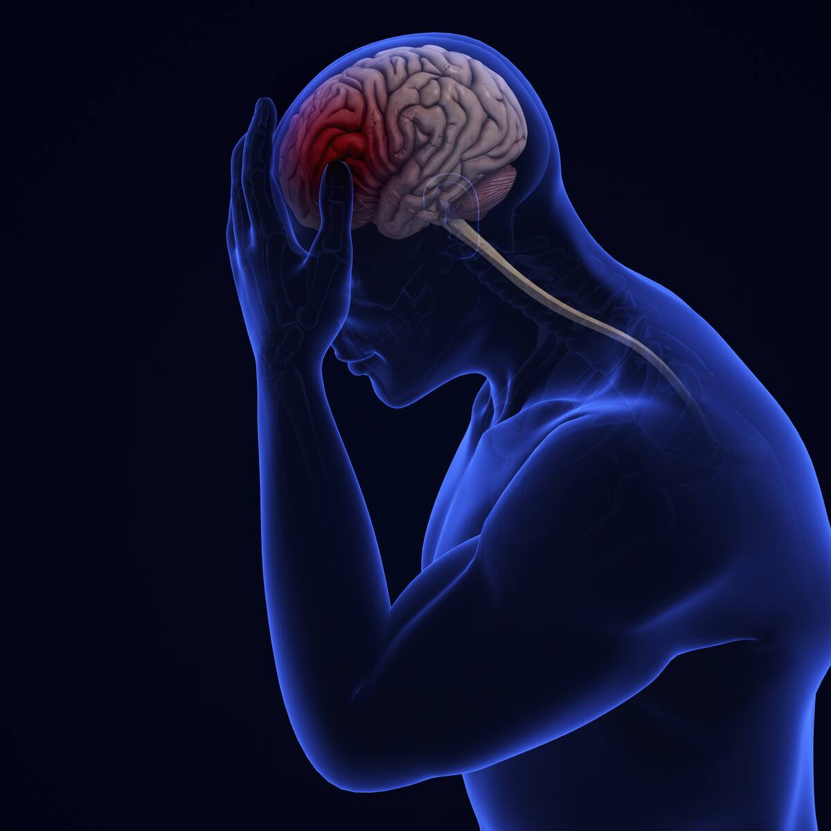 El error que muchas personas cometen frente a los primeros síntomas del Alzheimer y un ACV