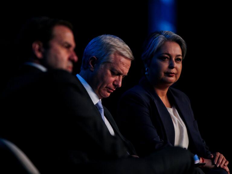 Primera encuesta Panel Ciudadano UDD de noviembre