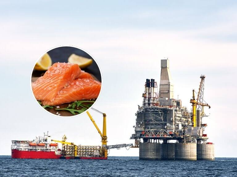 Sernapesca logra acuerdo con Rusia y asegura exportaciones de salmón y mariscos chilenos