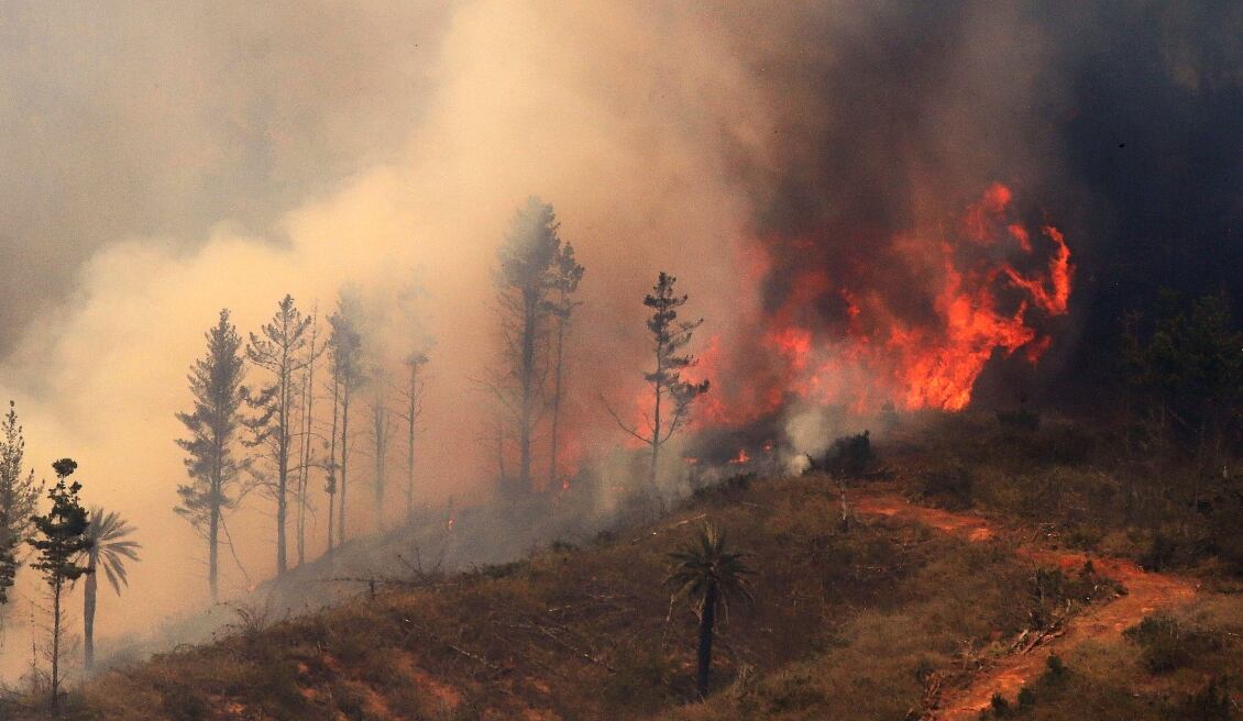 Incendios Forestales en Chile