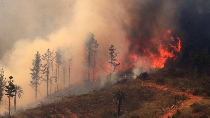 Fiscalía señala que tres detenidos serían parte de una organización dedicada a incendios forestales