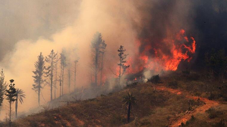 Incendios Forestales en Chile