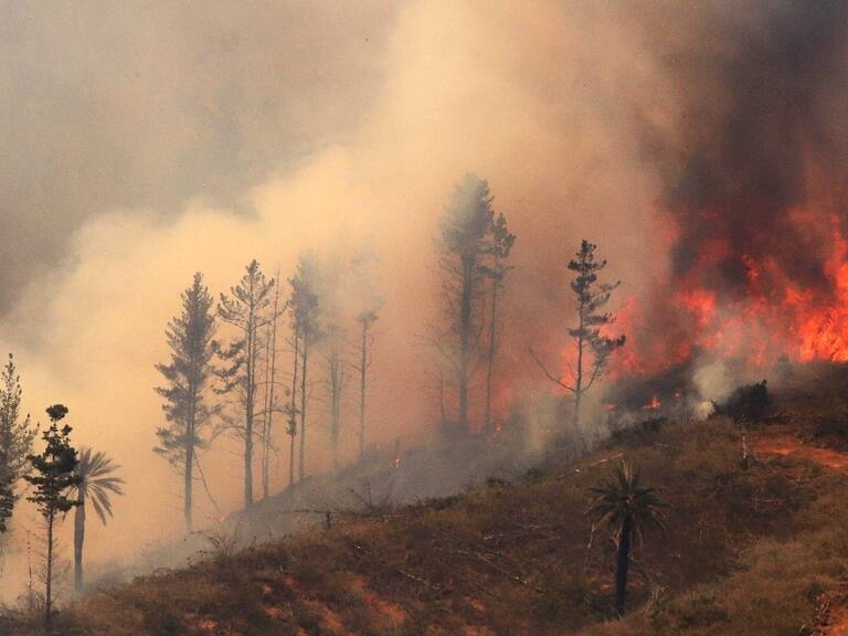 Incendios Forestales en Chile
