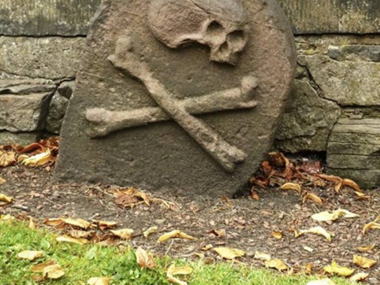 Reportan tres casos de peste negra en China