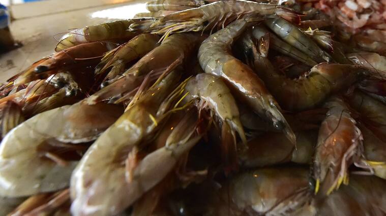 Camarones ecuatorianos