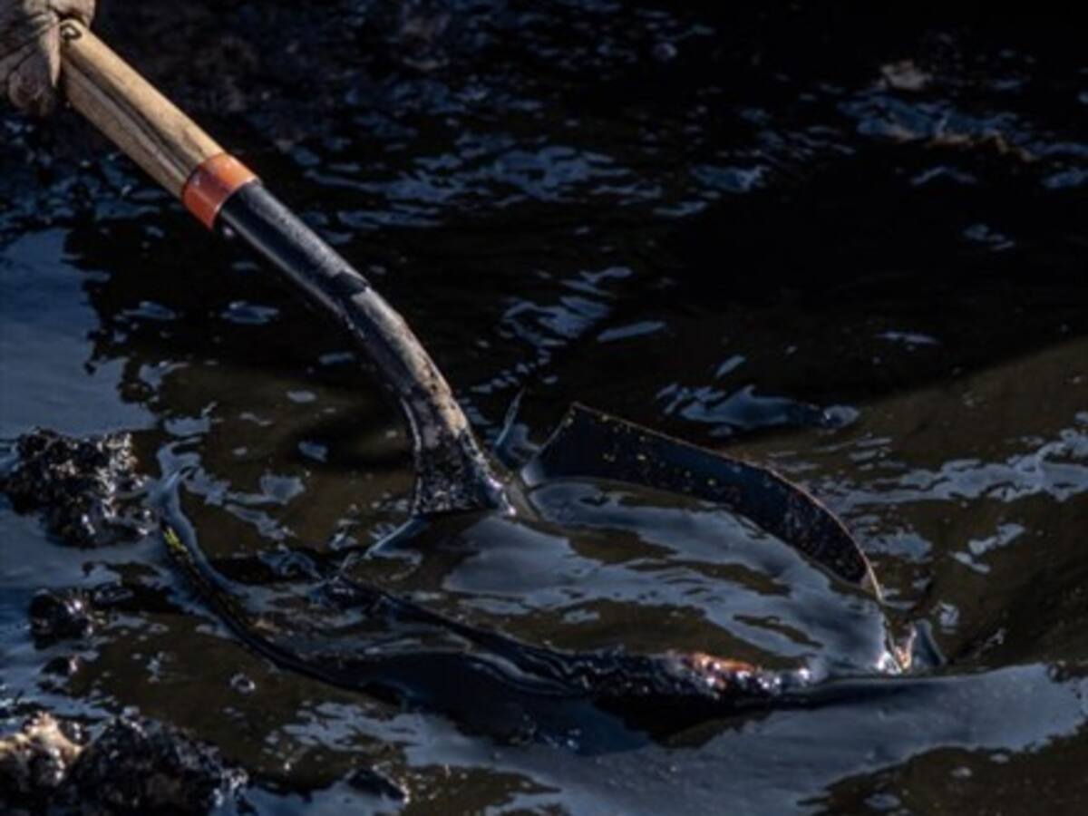 Tribunal Ambiental de Valdivia admitió demanda por derrame de petróleo de YPF