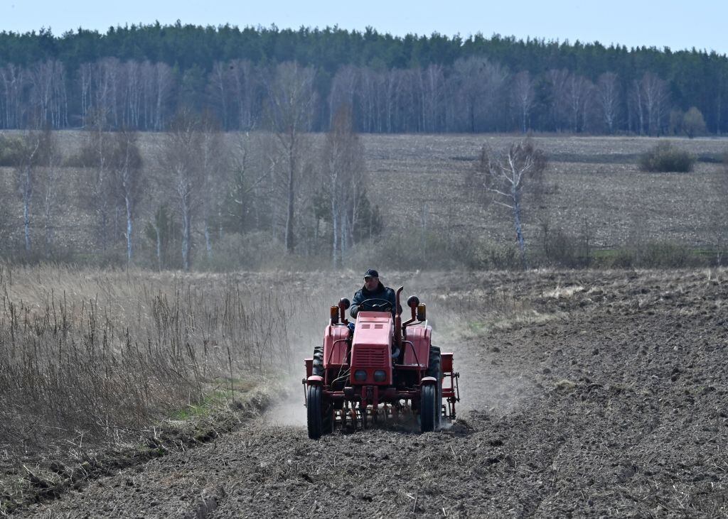 Residente de una villa de la región de Kiev prepara sus plantaciones