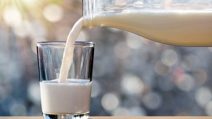 ¿Leche sí o no? El Doctor Chef aclara mitos y verdades sobre su consumo