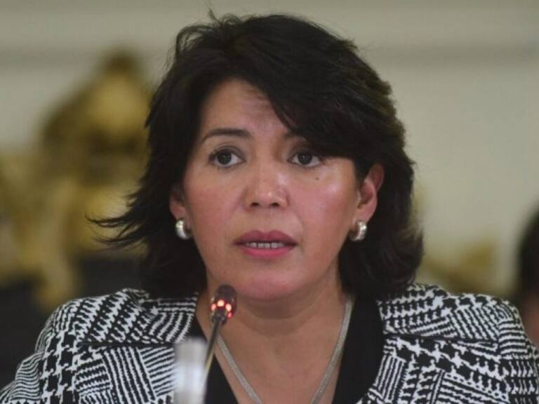 Senadora Provoste y Consejo para la Reactivación Educativa: «Es una tarea país, no se debe seguir peleando entre oposición y Gobierno»