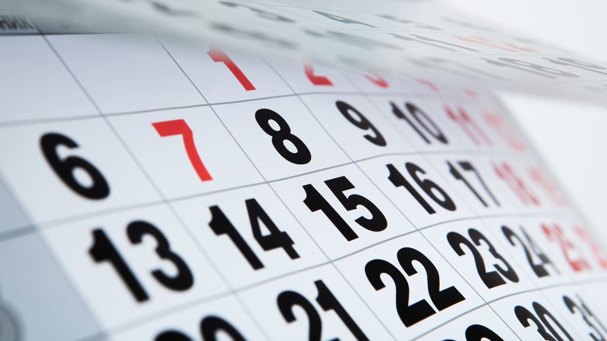 Feriados en Chile: cuántos días festivos trae 2025 y cómo se viene Fiestas Patrias, Navidad y Año Nuevo