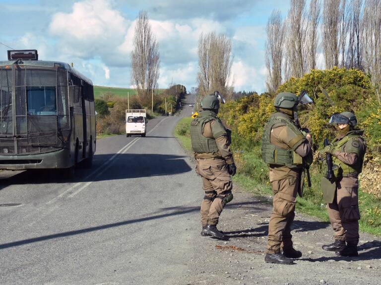 Carolina Leitao - LP.