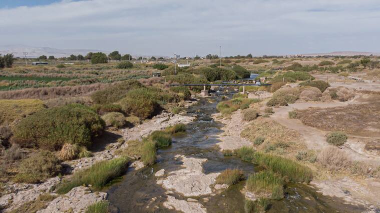 Derecho al agua en la nueva Constitución