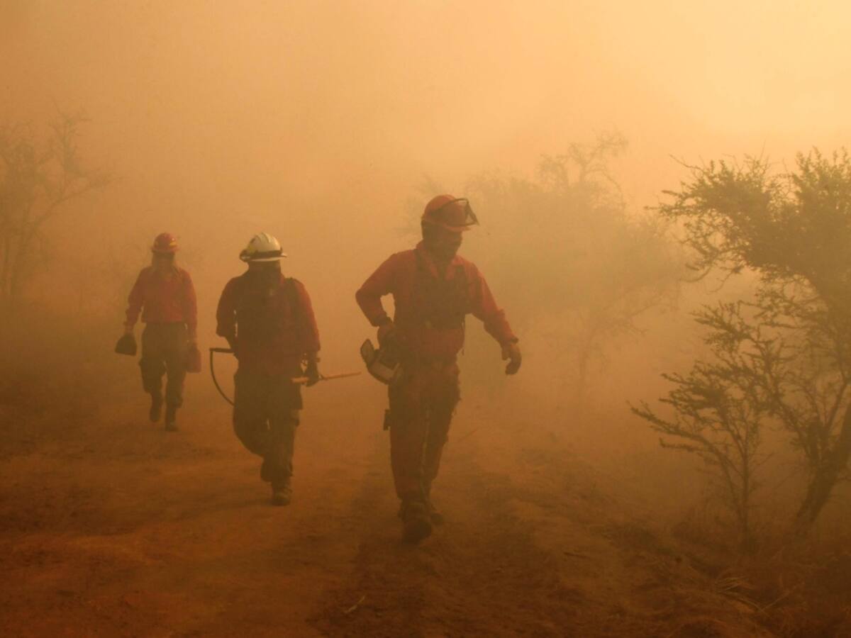 Región del Biobío: Senapred amplia Alerta Roja para la comunas de Penco y Tomé por incendio forestal
