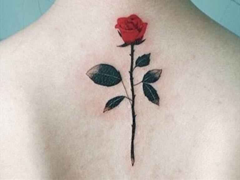 Tatuador mostró el ciclo de una rosa con tatuajes que le realizó a 70 personas