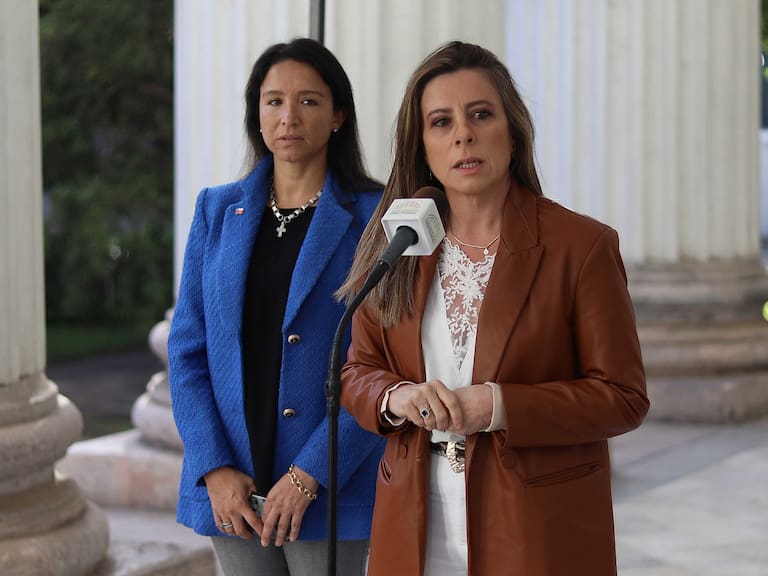 Con prólogo de Axel Kaiser: Teresa Marinovic y Rocío Cantuarias publicarán libro sobre la Convención