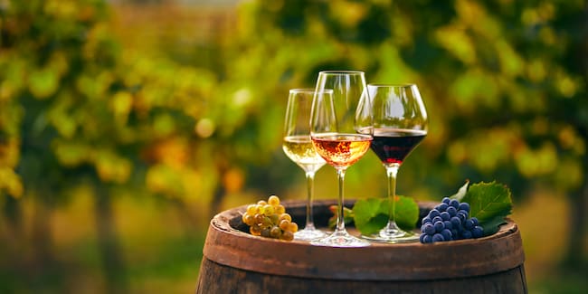 Tipos de vinos