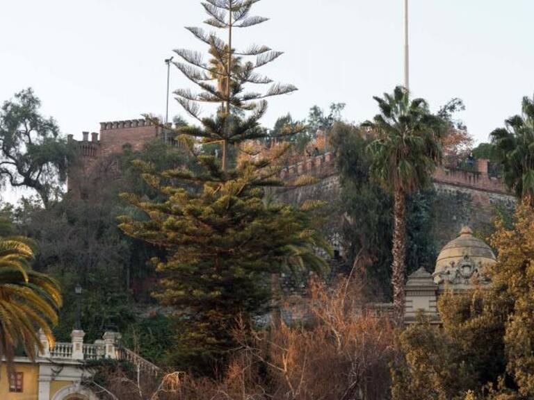 ¡Terrible hallazgo! Encuentran a hombre sin vida en el cerro Santa Lucía