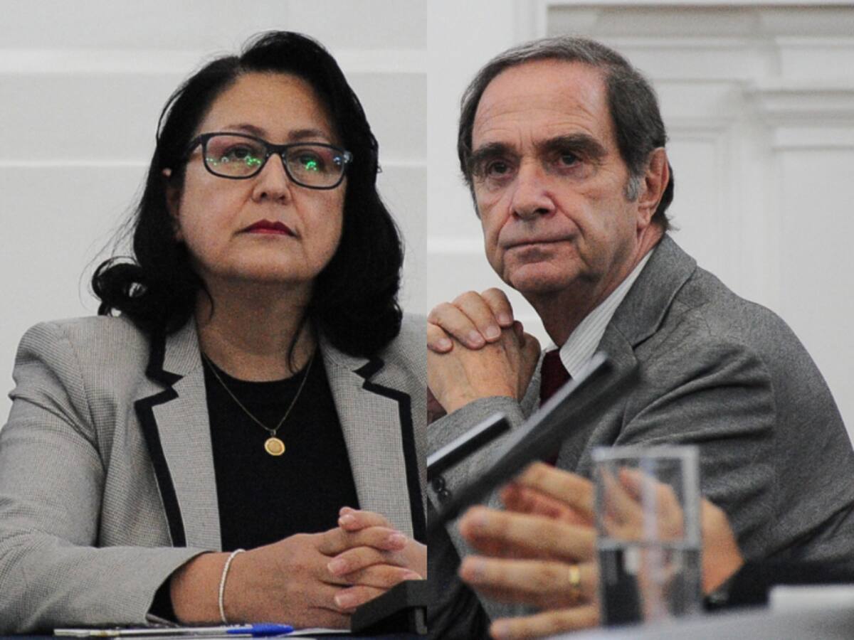 Caso Audios: contralora (s) Dorothy Pérez y exministro Hernán Larraín exponen ante comisión investigadora de la Cámara de Diputados