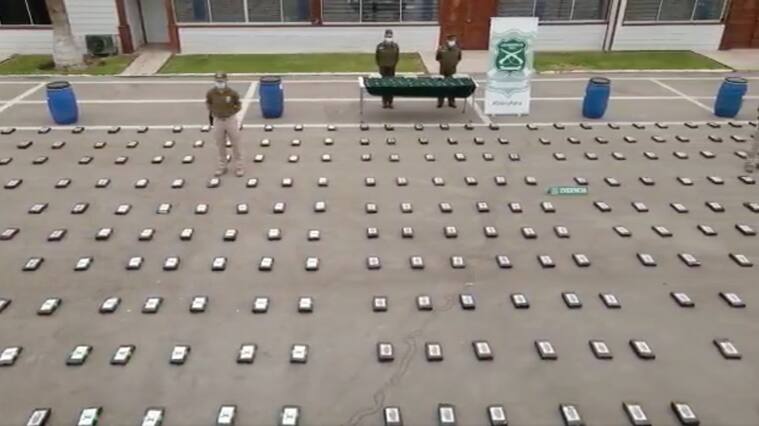 Incautan 700 kilos marihuana creepy en Arica