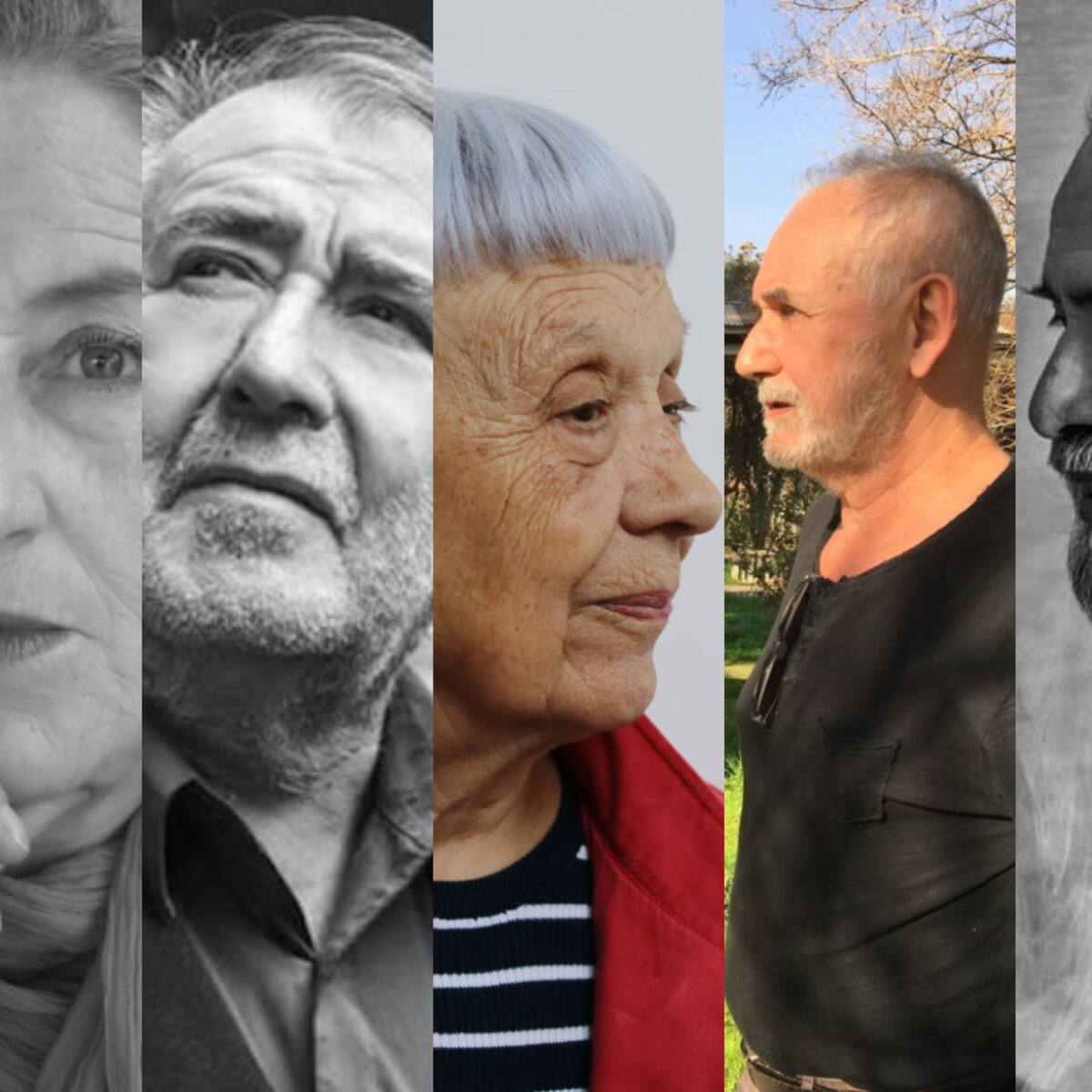 Premio Plagio a la creatividad artística 2025 anuncia a sus cinco finalistas
