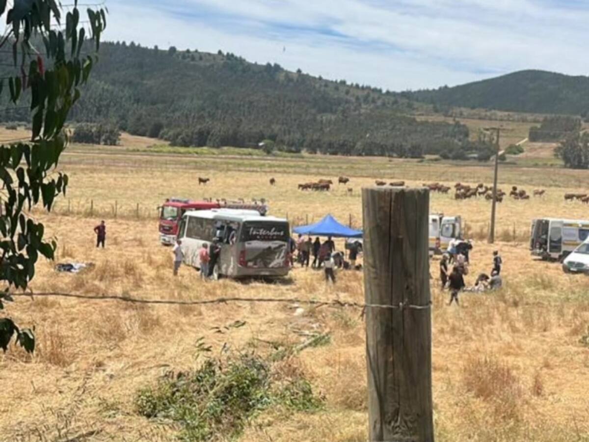 Llevaba 28 escolares: bus vuelca en ruta que une al Maule con O’Higgins
