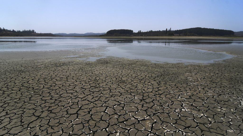 05 DE FEBREO DE 2020/VALPARAISOUna parte seca en el Lago Peñuelas que está ubicada la región de Valparaíso, donde ha perdido gran  por ciento de su capacidad hídrica en medio de la sequía que afecta a la zona central del país. FOTO: PABLO OVALLE ISASMENDI/AGENCIAUNO