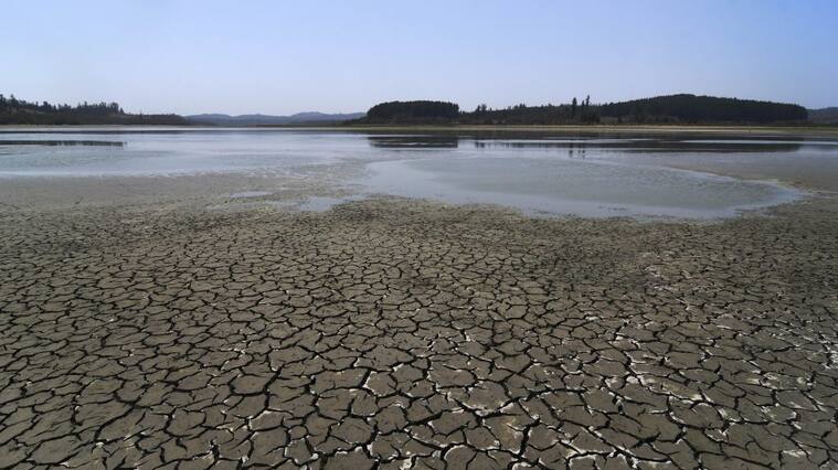 05 DE FEBREO DE 2020/VALPARAISOUna parte seca en el Lago Peñuelas que está ubicada la región de Valparaíso, donde ha perdido gran por ciento de su capacidad hídrica en medio de la sequía que afecta a la zona central del país. FOTO: PABLO OVALLE ISASMENDI/AGENCIAUNO