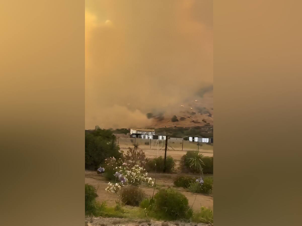 Incendio en Melipilla y Padre Hurtado: Senapred ordena evacuar sectores de la zona por violento siniestro