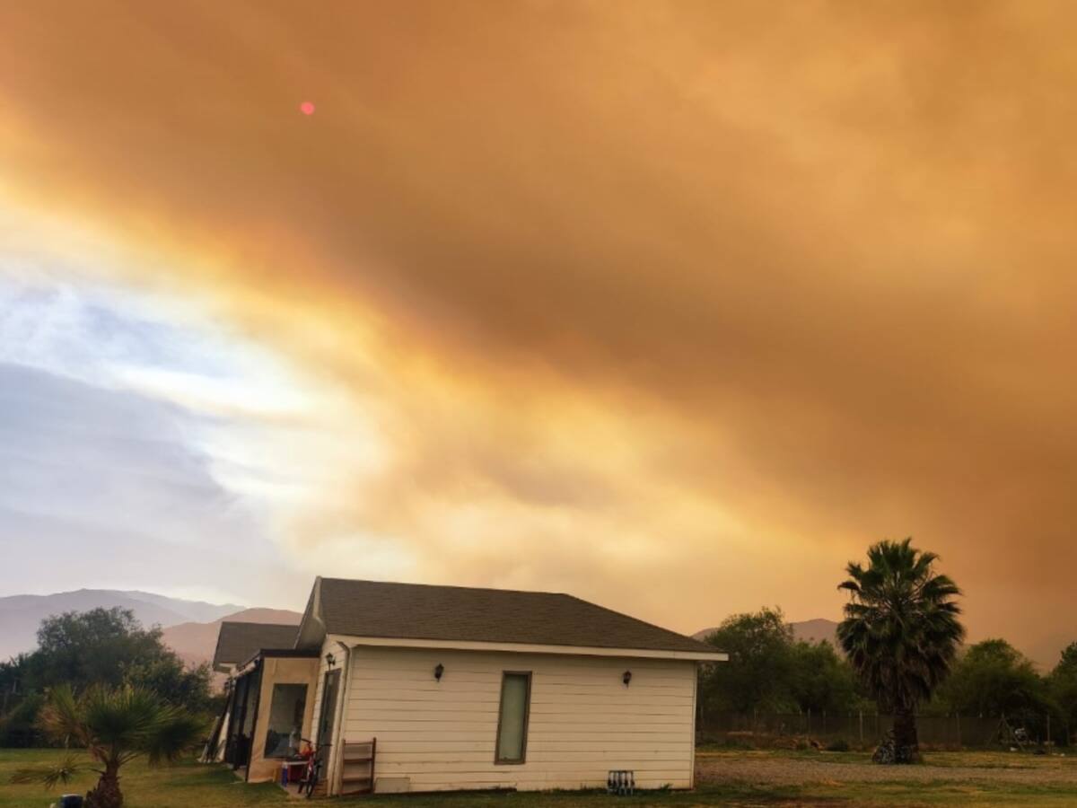 Incendios forestales: broncopulmonar explica efectos de la exposición al humo