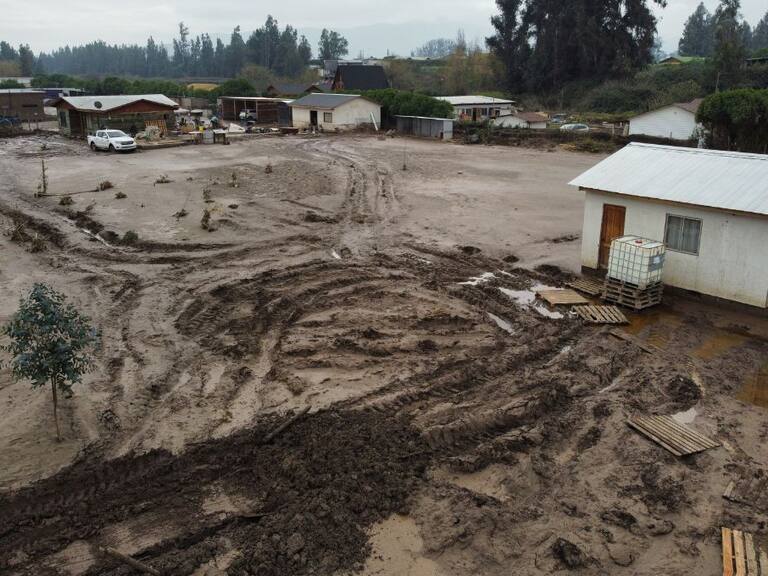 Salud mental en Ciudadano ADN: ¿Cómo afecta el sistema frontal a nuestro ánimo?
