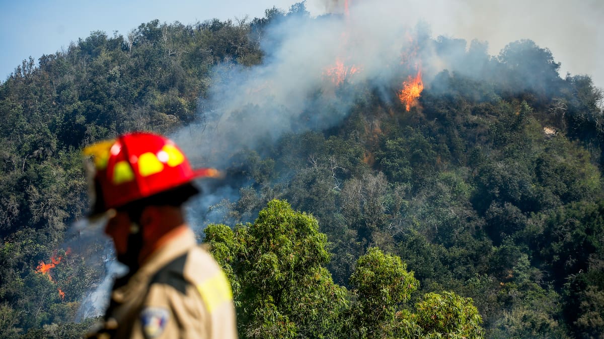 Incendio en San Pedro sigue fuera de control: más de 1.300 hectáreas afectadas y viviendas destruidas