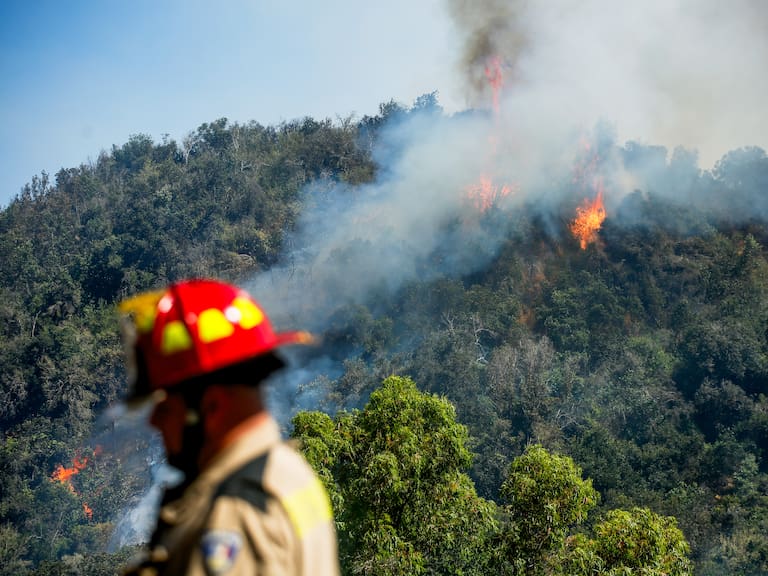 16 de diciembre de 2025/SAN PEDRO FOTO: HANS SCOTT/AGENCIAUNO