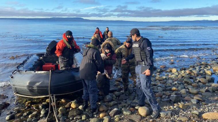 “Ella no se dio cuenta”: ¿qué se sabe del hallazgo de Jasna Oyarzún en Punta Arenas?