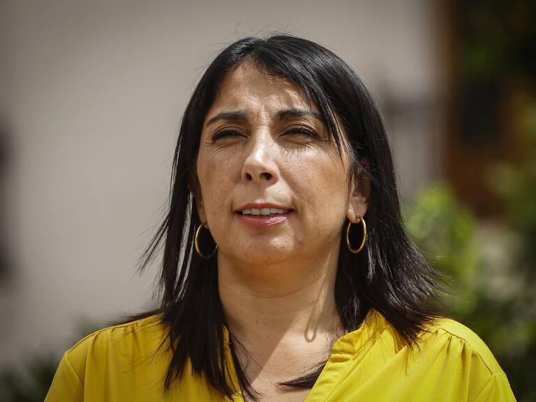 La ministra Karla Rubilar