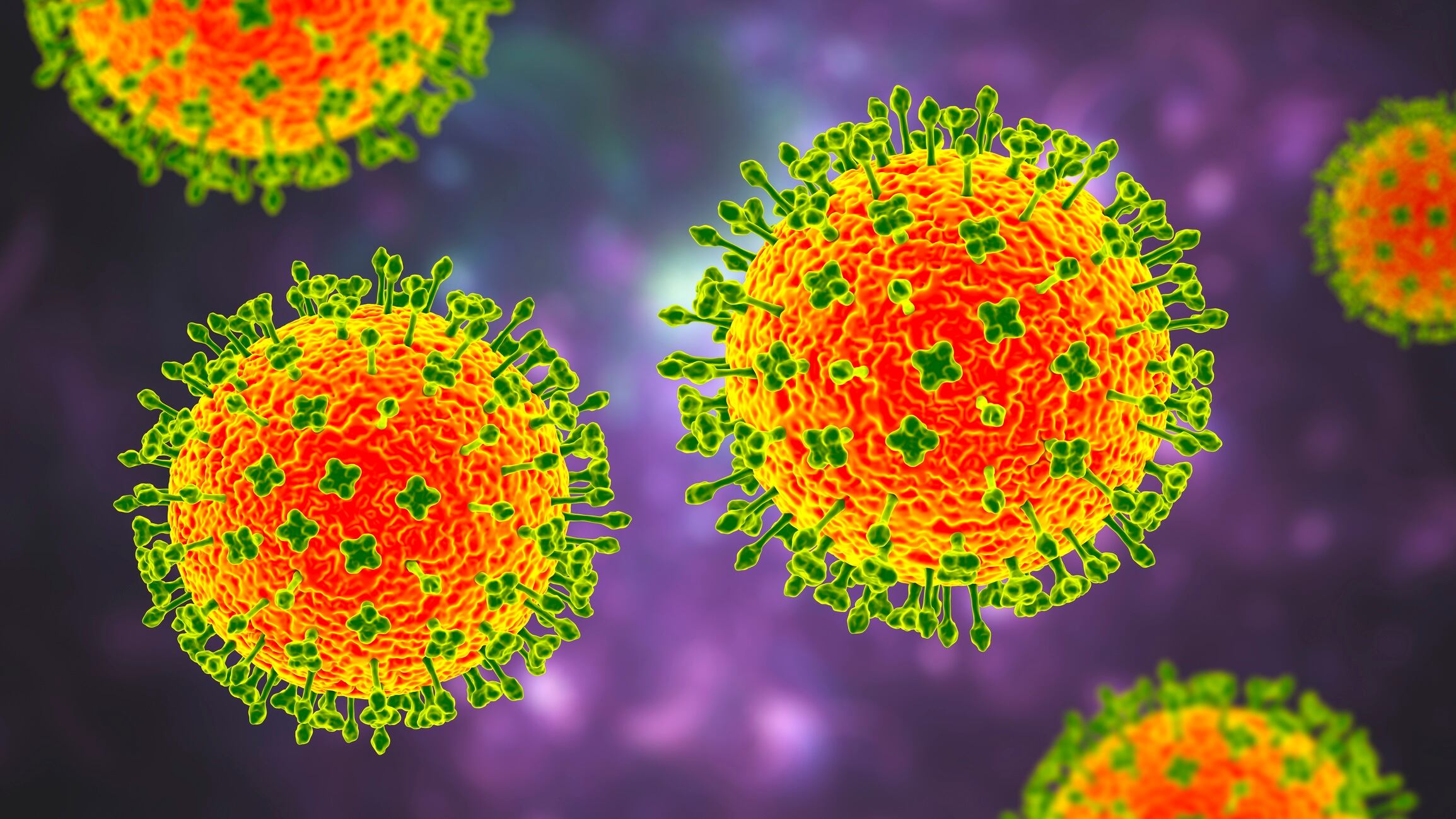 Nipah virus, a newly emerging bat-borne virus that causes acute respiratory illness and severe encephalitis, 3D illustration